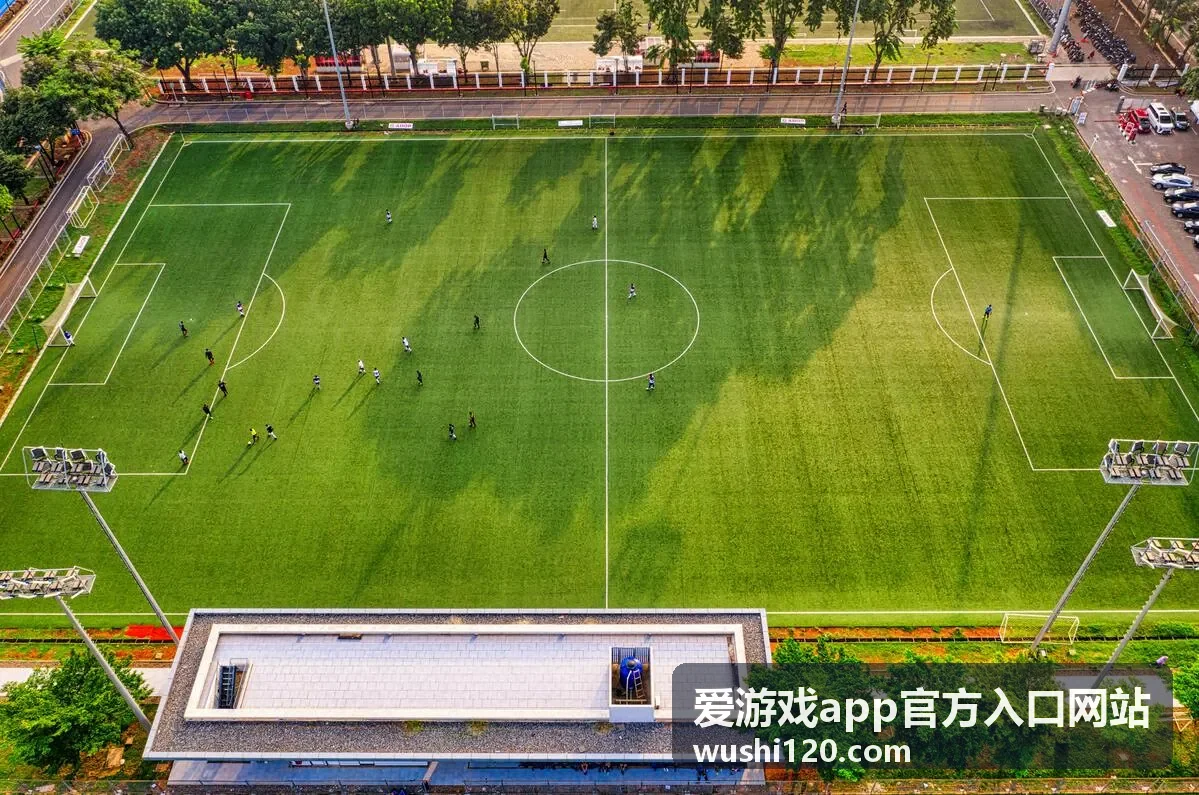 爱游戏app官方入口网站账号安全与帮助页面配图