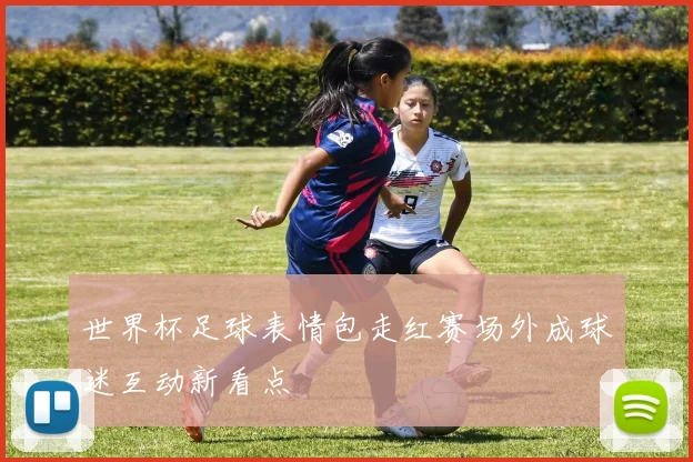 世界杯足球表情包走红赛场外成球迷互动新看点
